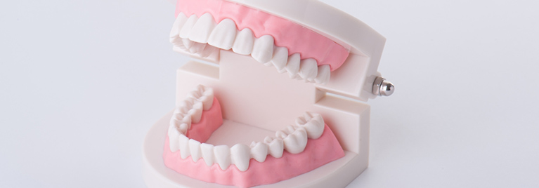 歯を失った場合の治療法について